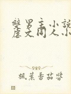 双男主小说推荐虐文同人小说完结