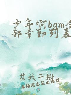 少年啊bgm全部章节列表