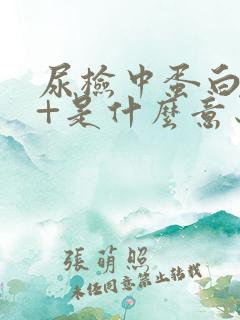 尿检中蛋白质2+是什么意思