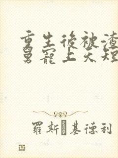 重生后被渣男舅舅宠上天短剧大结局