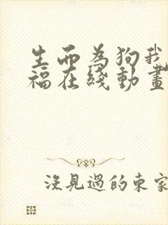 生而为狗我很幸福在线动画观看