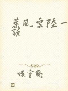 叶风云陆一曼小说