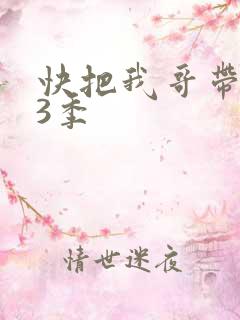 快把我哥带走第3季