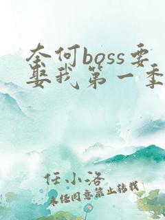 奈何boss要娶我第一季电视剧免费观看高清