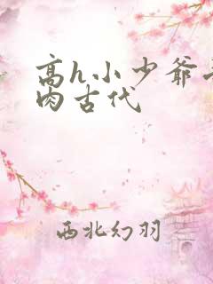 高h小少爷受荡肉古代