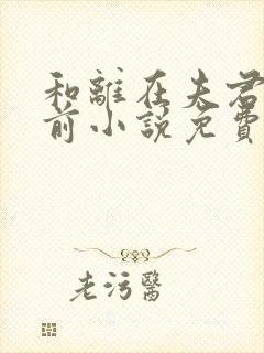 和离在夫君登基前小说免费阅读