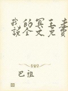 我的冥王老公小说全文免费阅读