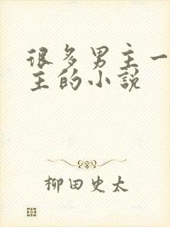 很多男主一个女主的小说