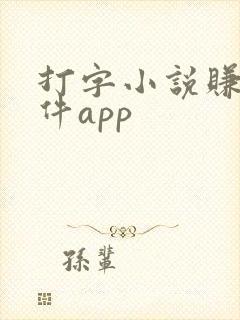 打字小说赚钱软件app