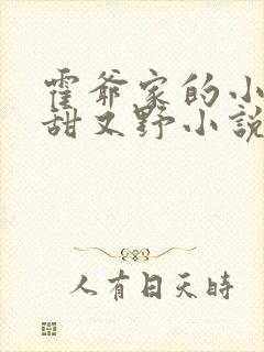 霍爷家的小祖宗甜又野小说