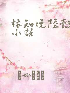 林知晚陆懿全文小说