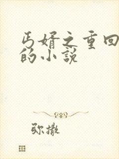 丐婿之重回巅峰的小说