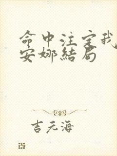 命中注定我爱你安娜结局