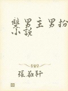 双男主男扮女装小说