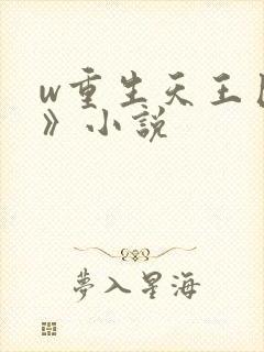 w重生天王巨星》小说