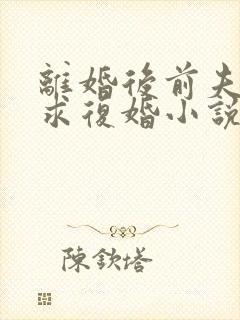 离婚后前夫哭着求复婚小说阅读