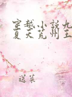 穿越小说九皇子夏天荒州王