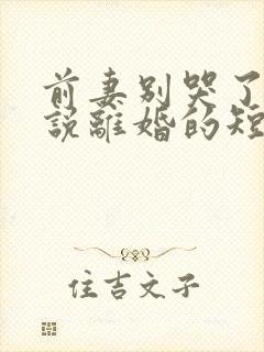 前妻别哭了是你说离婚的短剧免费观看