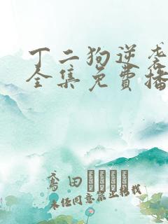 丁二狗逆袭人生全集免费播放