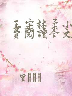 王宇林柔小说免费阅读全文最新章节