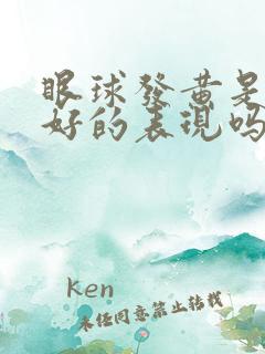 眼球发黄是肝不好的表现吗