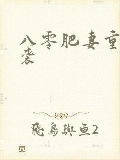 八零肥妻重生逆袭