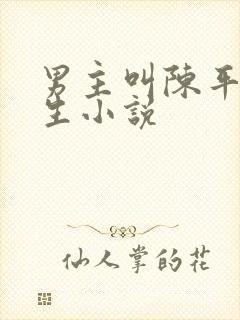 男主叫陈平的重生小说