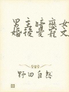 男主暗恋女主先婚后爱宠文