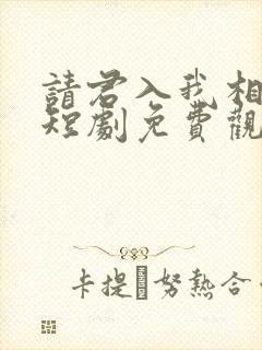 请君入我相思局短剧免费观看全集