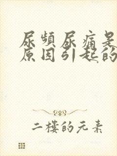 尿频尿痛是什么原因引起的