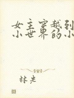 女主穿越到各种小世界的小说