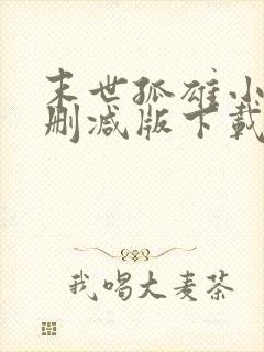 末世孤雄小说无删减版下载