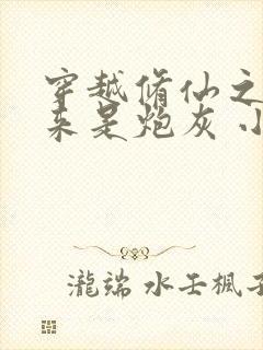 穿越修仙之我原来是炮灰 小说