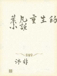 叶凡重生的都市小说