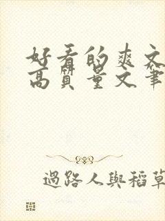 好看的爽文小说高质量文笔好