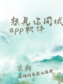 想见你同城交友app软件
