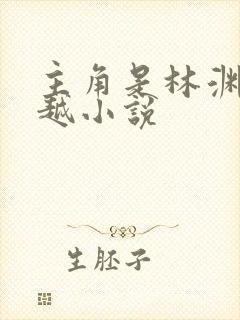 主角是林渊的穿越小说