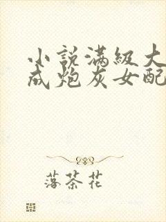 小说满级大佬穿成炮灰女配