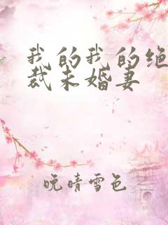 我的我的绝色总裁未婚妻