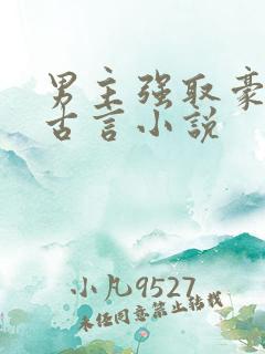 男主强取豪夺的古言小说