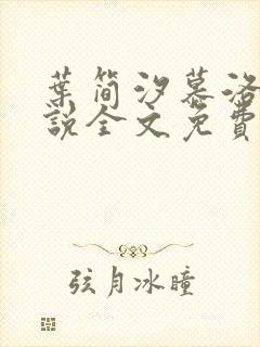 叶简汐慕洛琛小说全文免费阅读