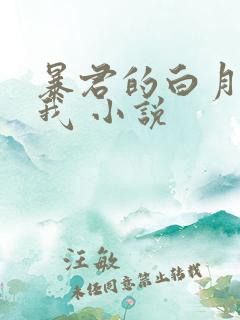 暴君的白月光是我 小说