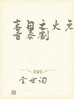 末日之火免费观看泰剧