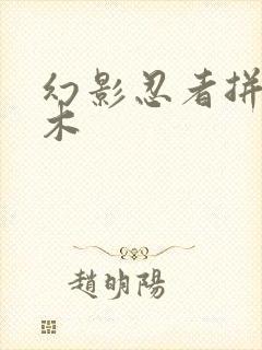 幻影忍者拼装积木