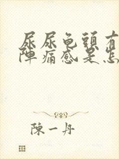 尿尿龟头有灼热阵痛感是怎么回事