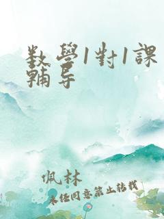 数学1对1课外辅导