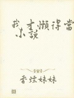 我才懒得当反派 小说