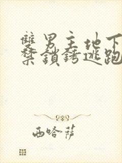 双男主地下室囚禁锁铐逃跑小说