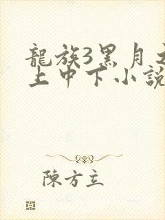 龙族3黑月之潮上中下小说
