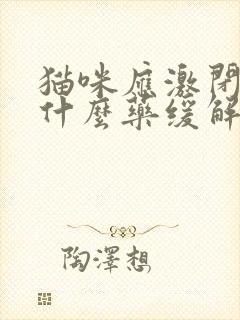 猫咪应激闭尿吃什么药缓解